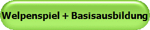 Welpenspiel + Basisausbildung